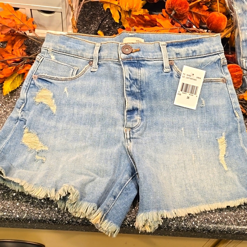 NWT Revolve Edyson Delon High Rise Short, distressed, in light park wash, $148